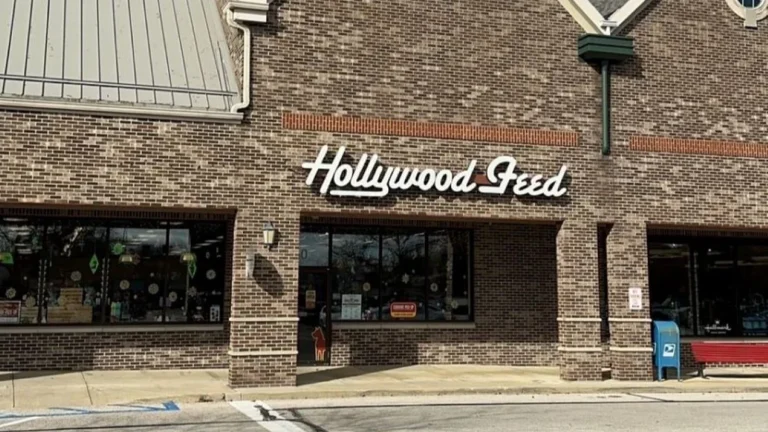 Hollywood Feed 768x432