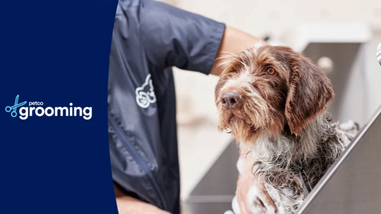 Petco Grooming Strongsville 768x432
