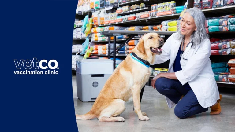Vetco Vaccination Clinic 768x432