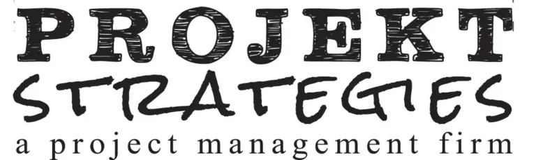 Projekt Strategies 768x230