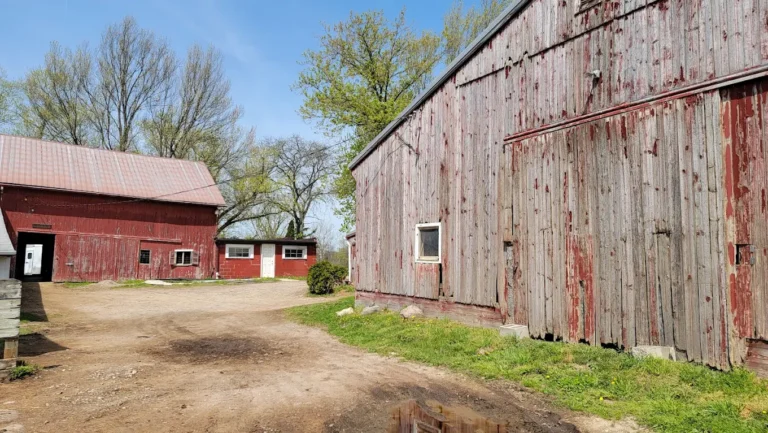 Coventree Farm 768x433