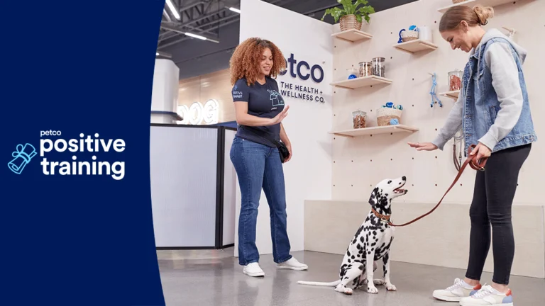 Petco Dog Training 768x432