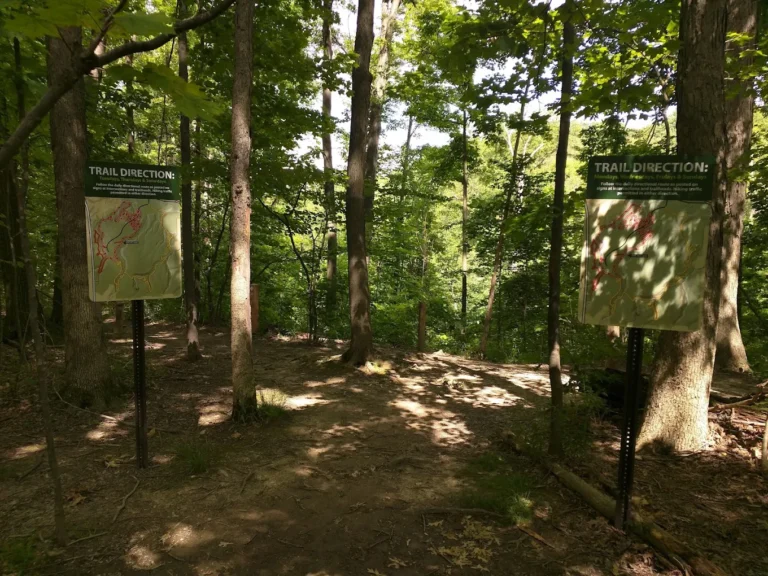 Royalview Mountain Bike Trail Lower Lot 768x576