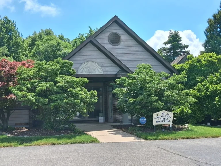 Strongsville Animal Hospital 768x576