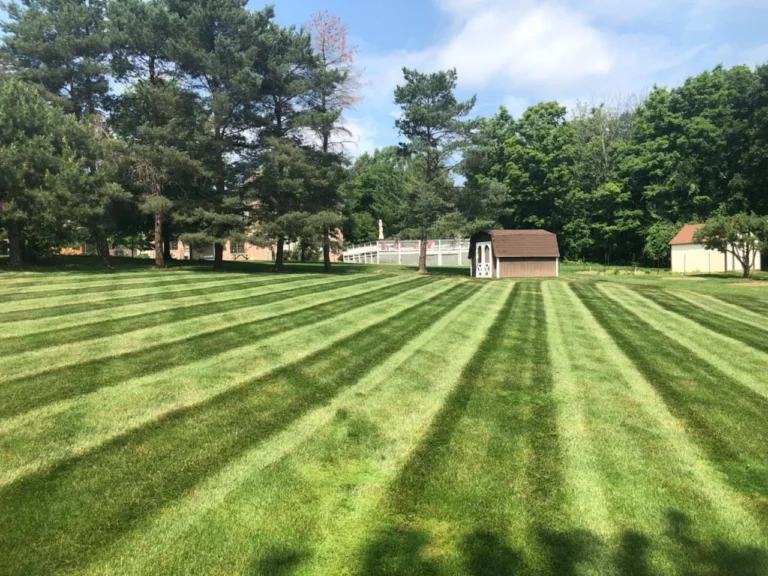 Hietala Lawn Maintenance Inc  768x576
